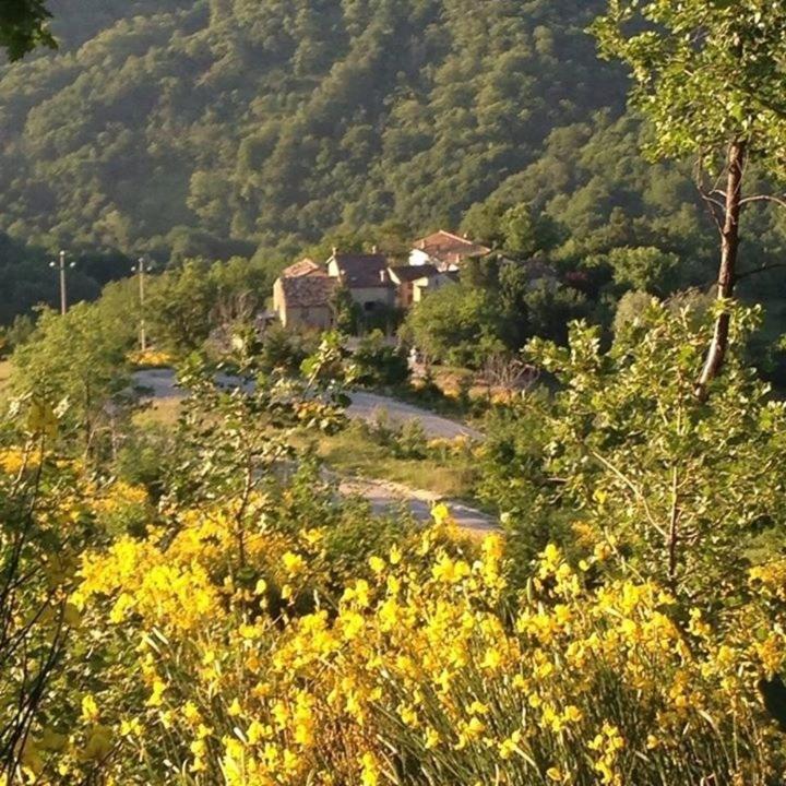 La Cittadella Dei Monti Sibillini Konuk evi Montemonaco Dış mekan fotoğraf