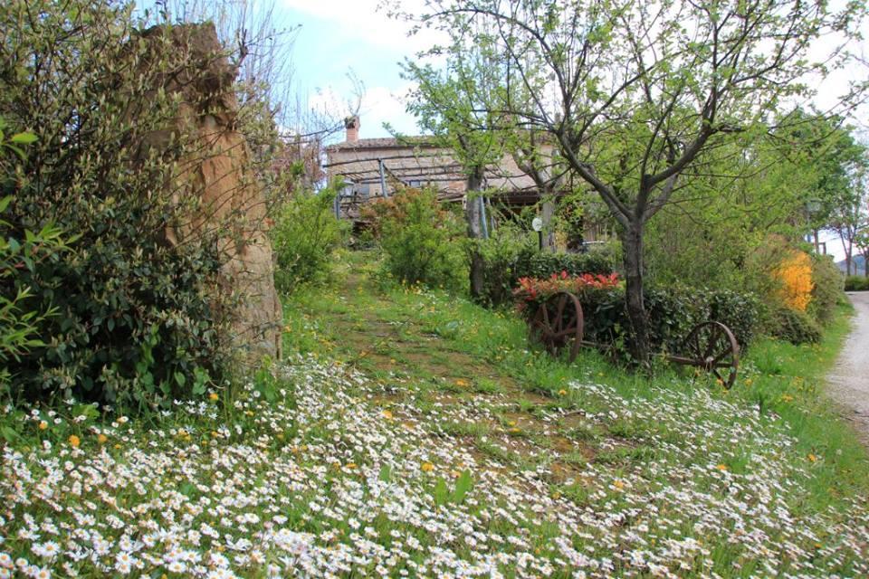 La Cittadella Dei Monti Sibillini Konuk evi Montemonaco Dış mekan fotoğraf